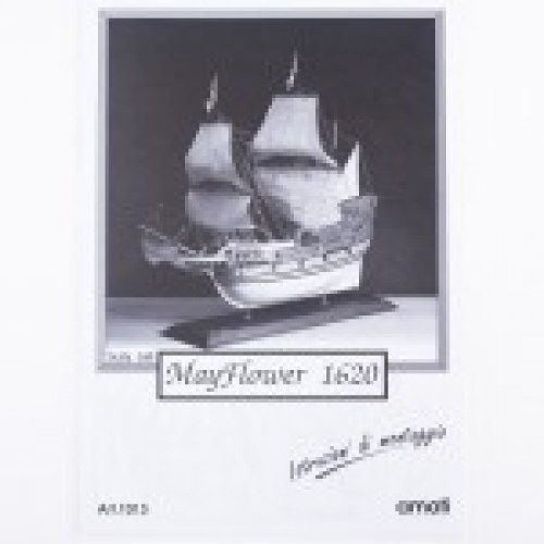 Mayflowerr amati 1